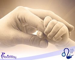 Slider image (5) North Cyprus IVF